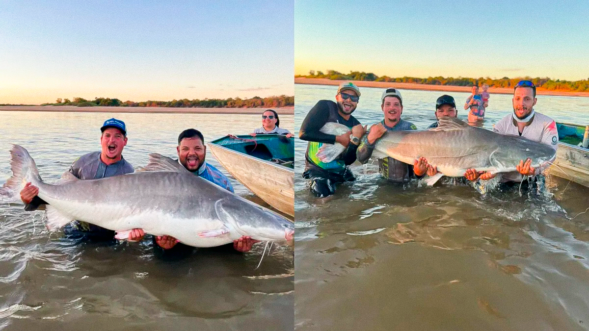 Pescador fisga piraíba de 2 metros e mais de 120 kg e luta por quase uma hora para tirar foto