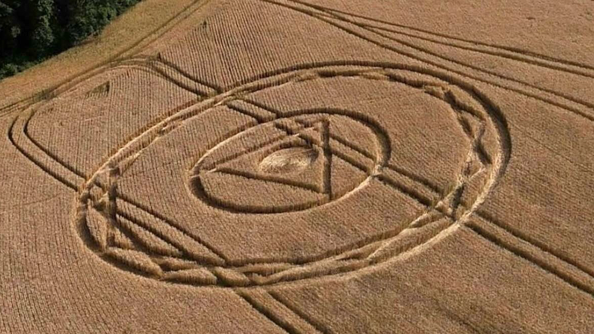 Marcas misteriosas surgem em plantação de trigo e intrigam moradores em Santa Catarina