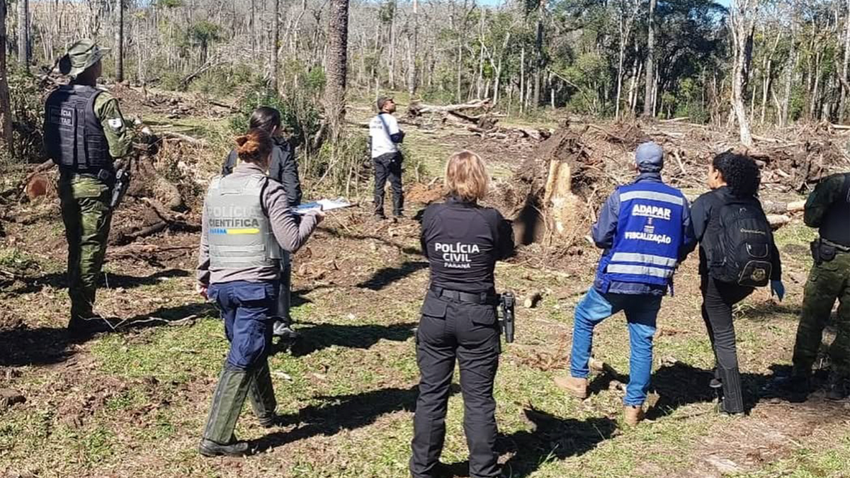 Polícia prende homem por devastar área equivalente a 150 campos de futebol em Rio Azul