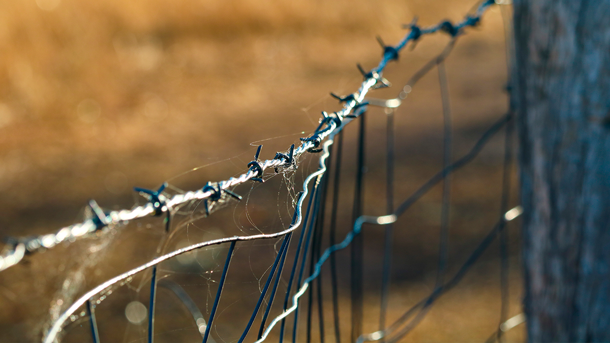Homem é encontrado morto sobre cerca elétrica em área rural de Guarapuava