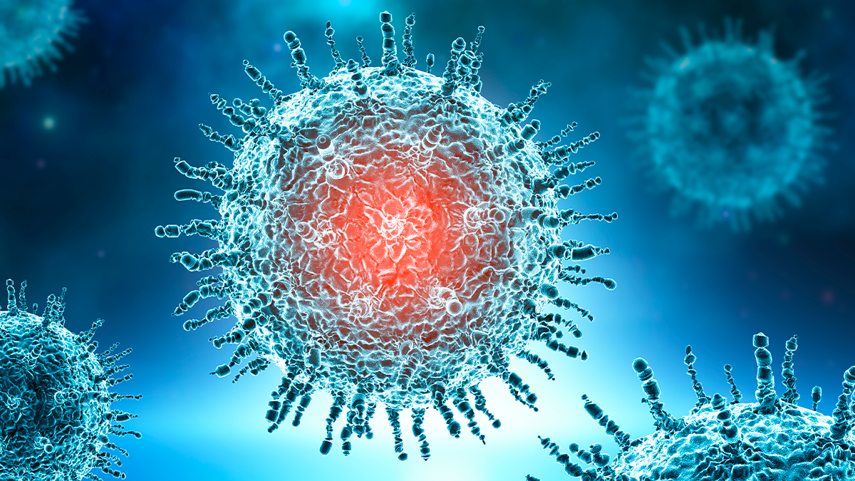 Alerta global: vírus Nipah é identificado na Índia e mobiliza autoridades de saúde