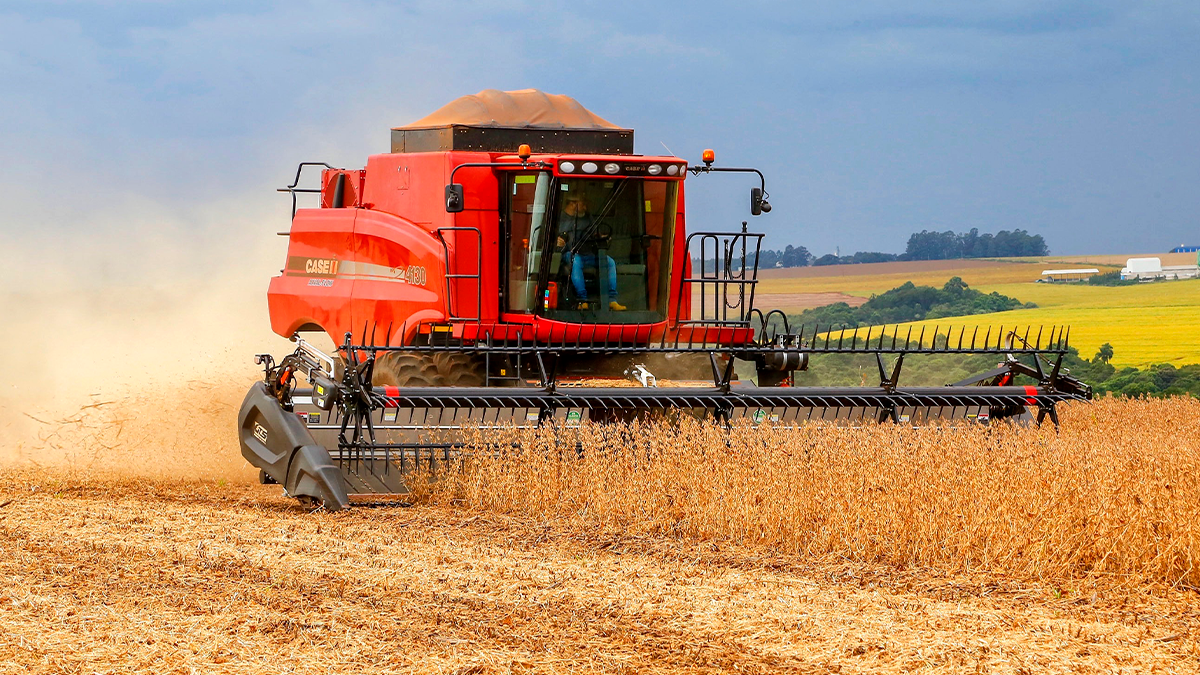 Safra 2026 do Paraná deve atingir 25,9 milhões de toneladas com destaque para a soja