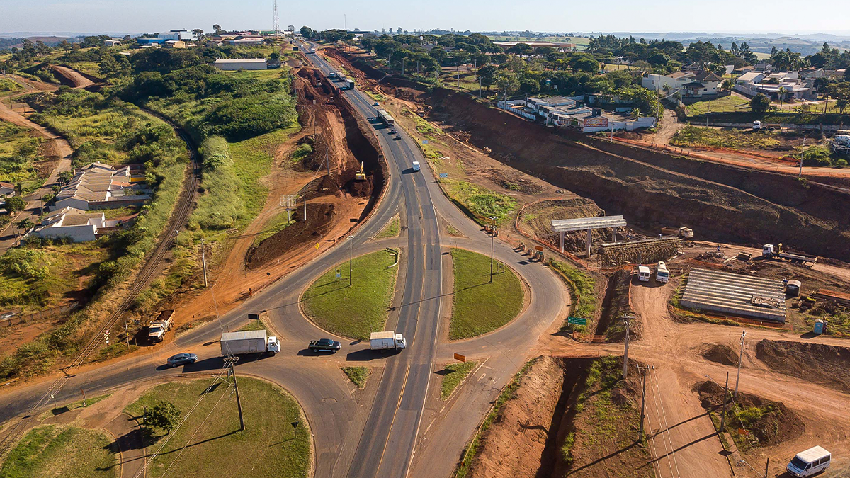 Morte de cão Serelepe arremessado contra parede causa revolta em Jandaia do Sul (PR)