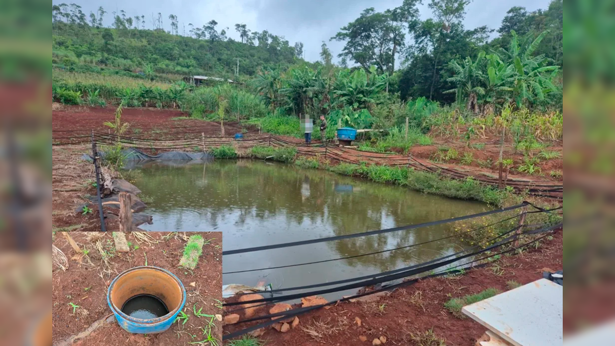 Polícia Ambiental multa proprietário em R$ 10 mil por construção irregular em Apucarana