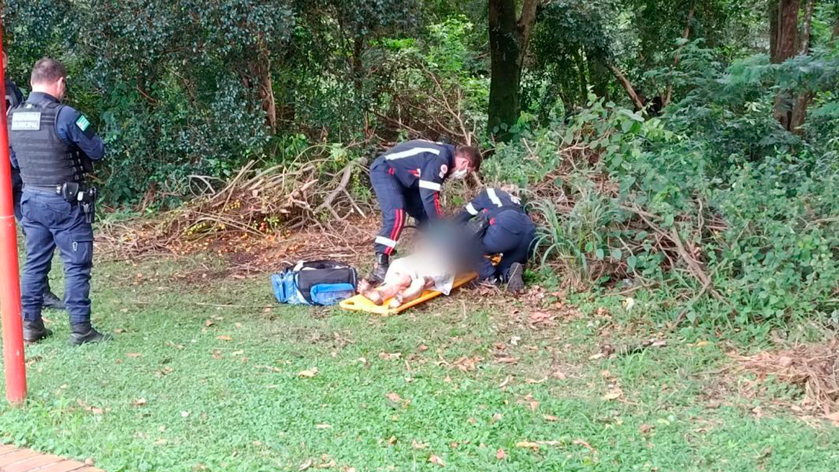 Violência fatal contra idoso de 83 anos choca moradores da Vila Industrial em Toledo