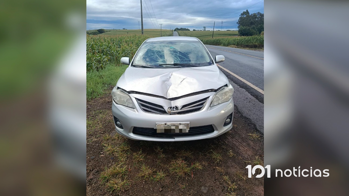 Jovem de 19 anos fica gravemente ferida após ser atropelada na PR-082