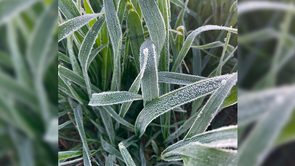 Massa de ar polar traz frio intenso e temperaturas de até 0 °C para o Paraná