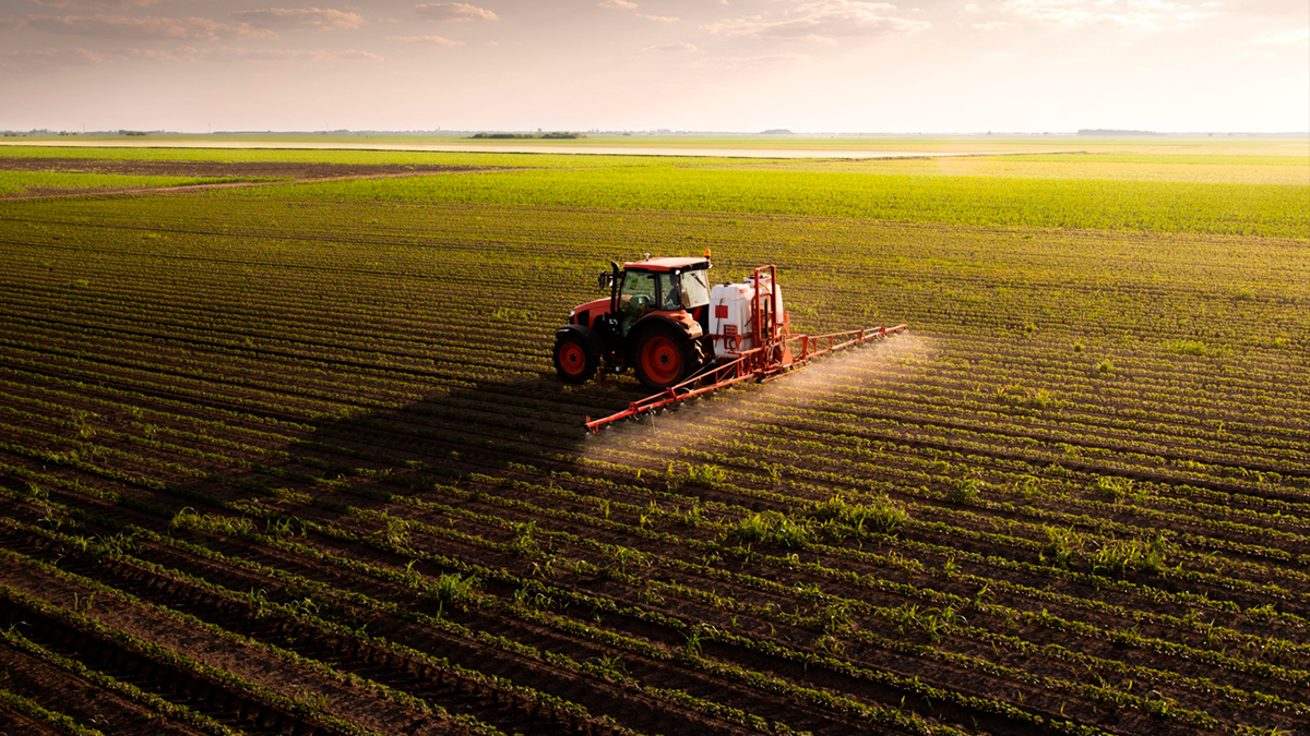 Boletim Agro aponta desafios nas safras de trigo e milho e alta na exportação de açúcar no Paraná