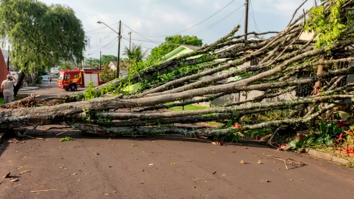 Equipes da Prefeitura de Apucarana atendem mais de 100 ocorrências após forte temporal