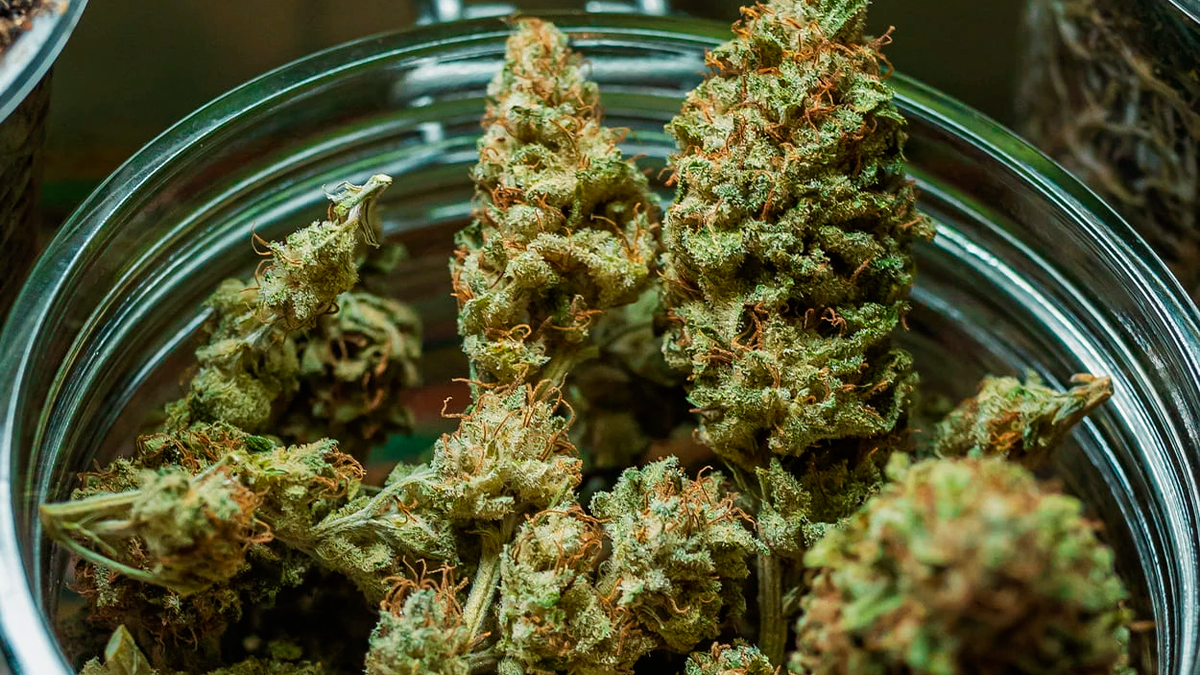 Rotam prende suspeito de fazer “delivery” de drogas e apreende maconha de alto valor em São João do Ivaí