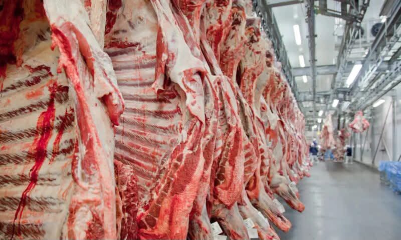 Embargo da União Europeia às carnes brasileiras pode gerar impacto bilionário no Paraná