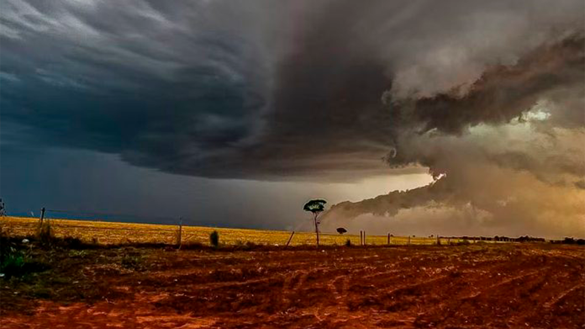 Tornados provocam destruição no meio rural em municípios do Paraná