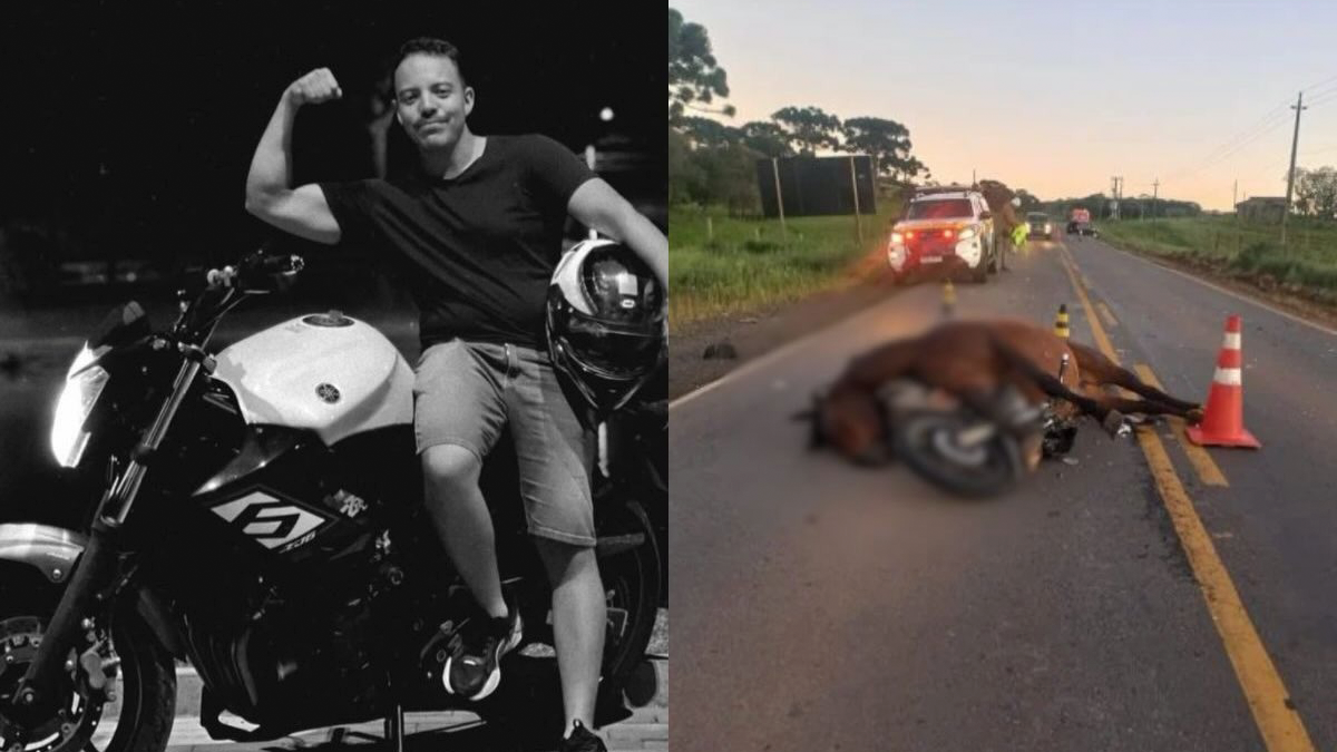 Empresário de 23 anos morre em acidente de moto após cavalo invadir rodovia e provocar atropelamento em Santa Catarina