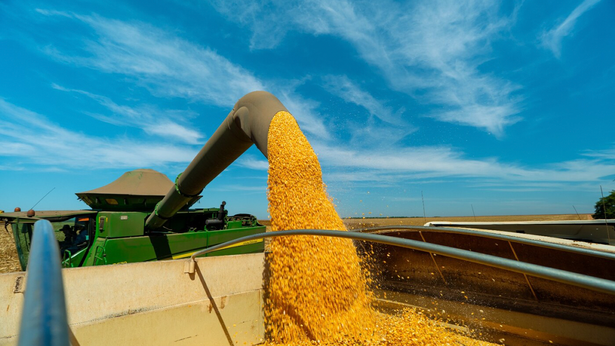 Boletim Agro aponta alta nas exportações de soja no Paraná e ritmo lento no plantio da safra